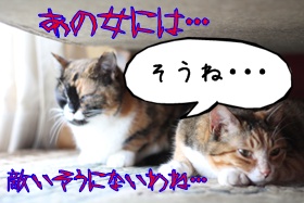 画像 049.jpg