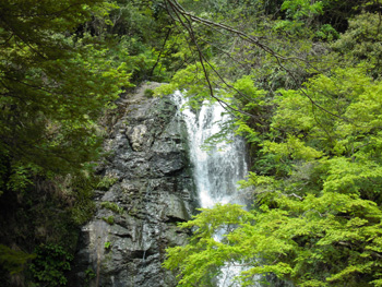 20130430182040.jpg