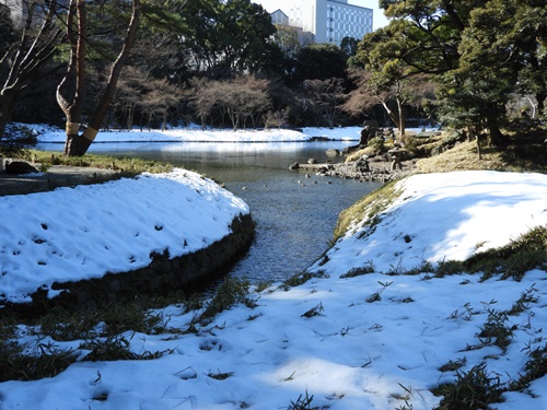 小石川後楽園にて