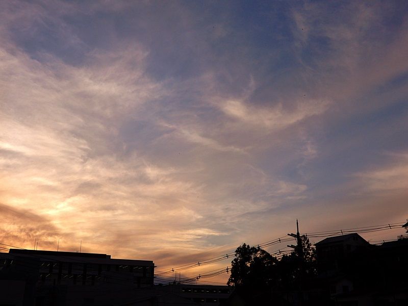 夕暮れ3