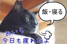 画像 062.jpg