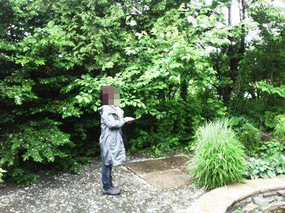 上野ガーデン