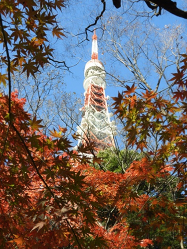 芝公園＆東京タワー