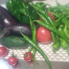 rblog-20140815231129-01.jpg