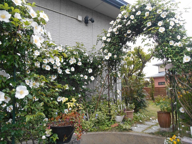 DSCN0288.JPG
