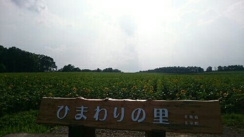 rblog-20150902164518-03.jpg