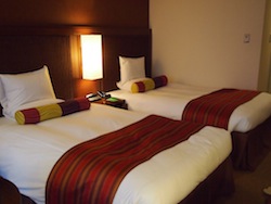 PC300331.JPG