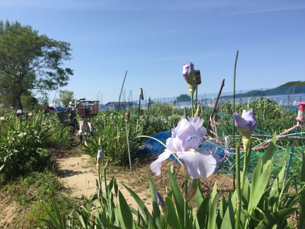 rblog-20160505231325-07.jpg