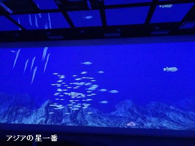 20160513 タオル美術館 佐田岬20