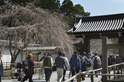 醍醐寺1