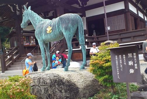 聖徳太子様が愛した黒コマ