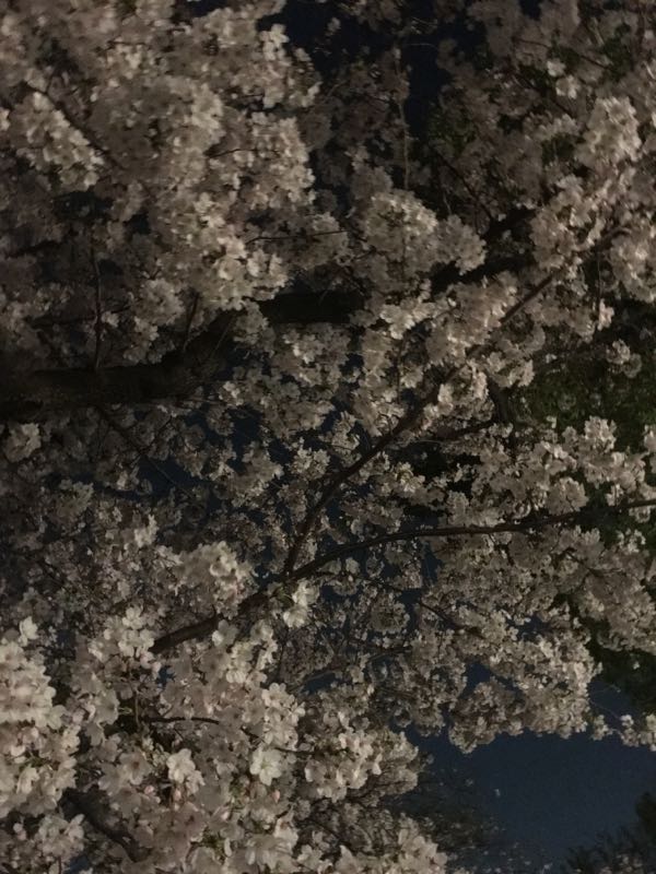rblog-20160403041813-01.jpg