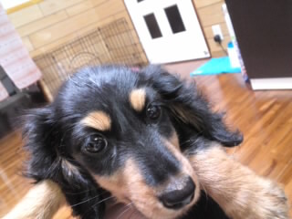 Lily7.7.jpg