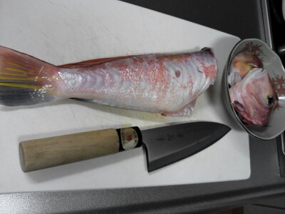 20130220 002.jpg
