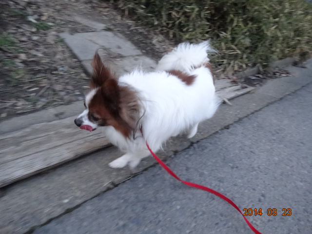 DSC00970.JPG