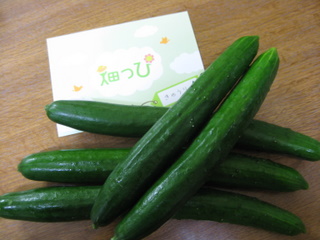 畑っぴ6