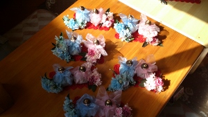 DSC_0037 (300x169).jpg