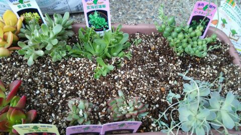 rblog-20140328231318-03.jpg