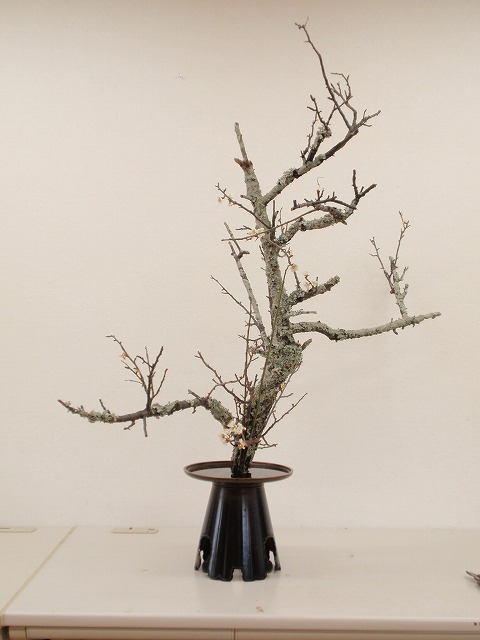 P2020881 (480x640).jpg