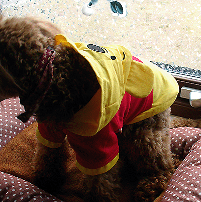 2015.03.25.gif