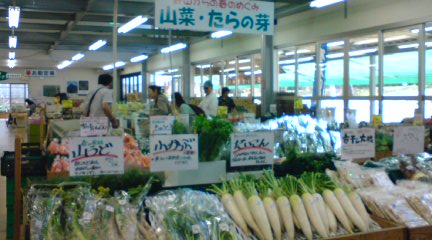 20120428085339.jpg