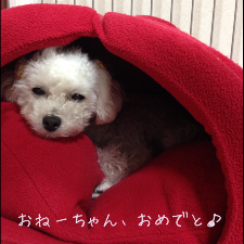 IMG_6447.png