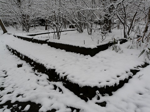 P1050991.JPG