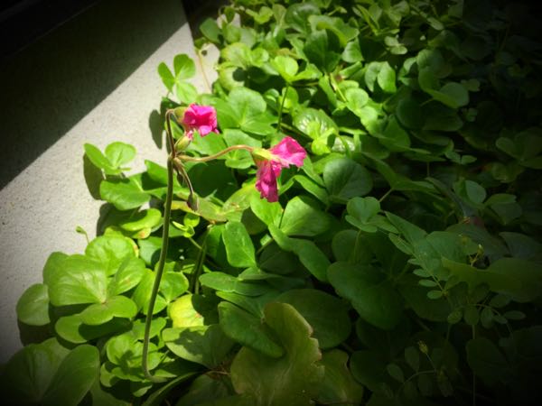 rblog-20150428203749-03.jpg