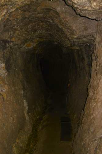 20141023c.jpg