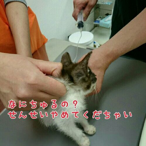 rblog-20180824072651-01.jpg