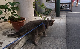 IMG_4470-17.jpg