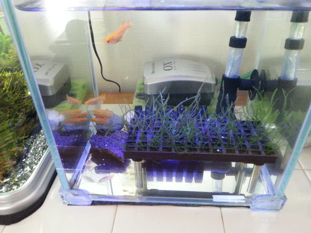 20130105_140955.jpg