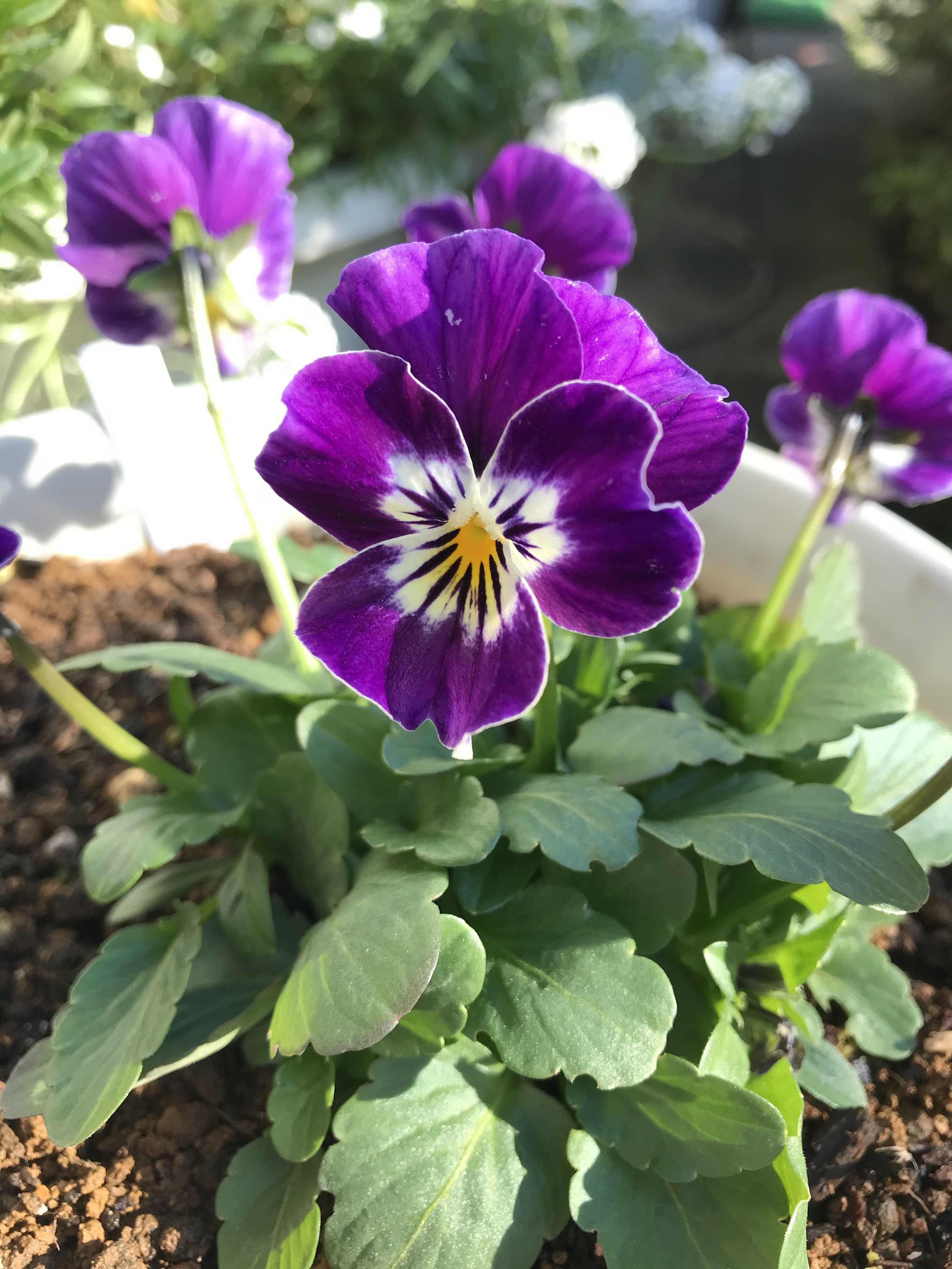 ヌーヴェルヴァーグ9 ヌーヴェルヴァーグ9