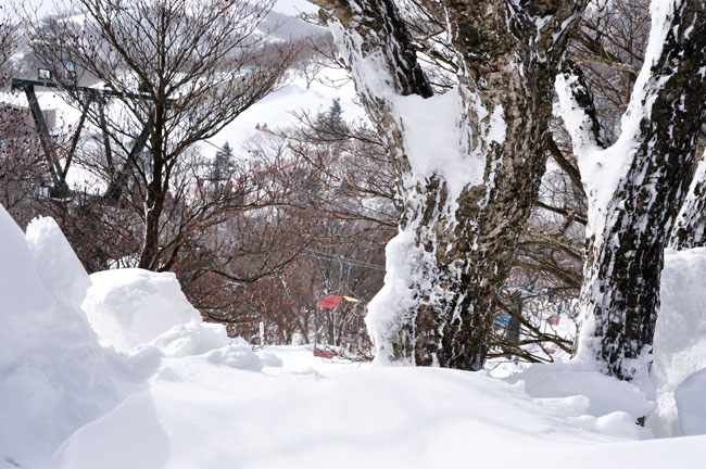 雪４