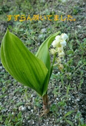 rblog-20160505171829-01.jpg