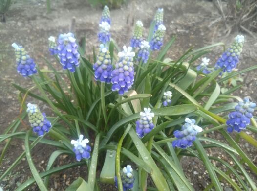 rblog-20140418193503-00.jpg