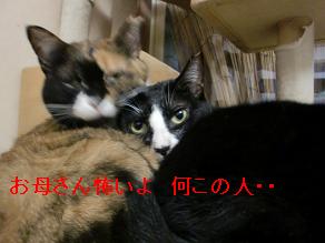 お母さん怖い.JPG