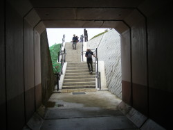 IMG_3968.JPG