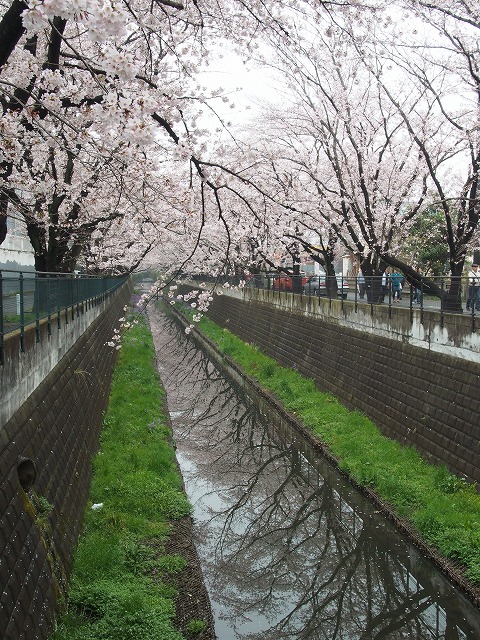 P4030116.jpg