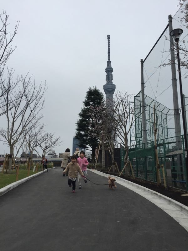 rblog-20160405010340-02.jpg