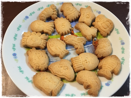 城崎マリンワールド (2)