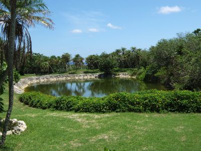 023_Pond.jpg