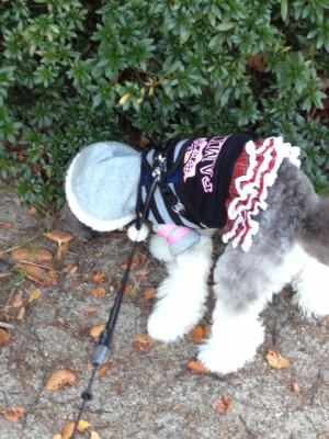 20121101cJPG.JPG