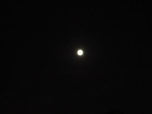 繝斐け繝√Ε+007_convert_20140912072023.jpg