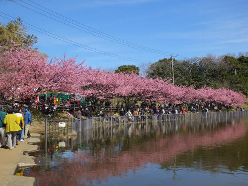 小松ヶ池公園