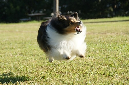 DSC01135.jpg
