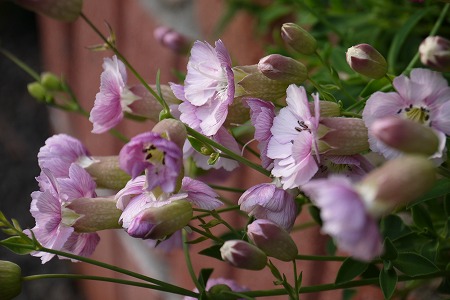 P1000850.jpg
