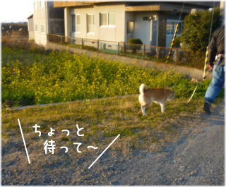 0112夕1.jpg