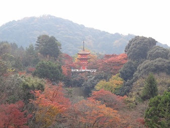 清水舞台から.jpg