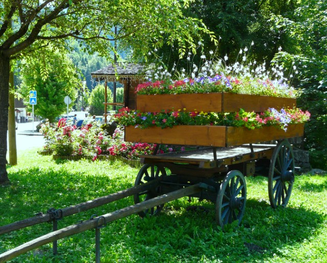 0728 flower.jpg